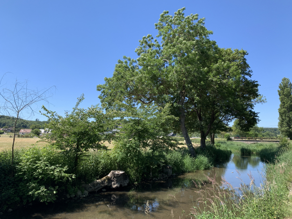 Nous n'allons pas tourner vers le centre de Gaudreville-la-Rivière tout-de-suite, nous allons faire le détour par le Chemin de la Chapelle.
