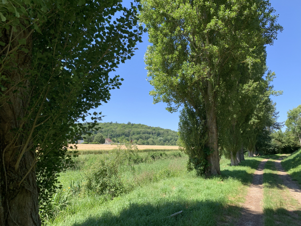 Gaudreville-la-Rivière, chemin de la Chapelle.