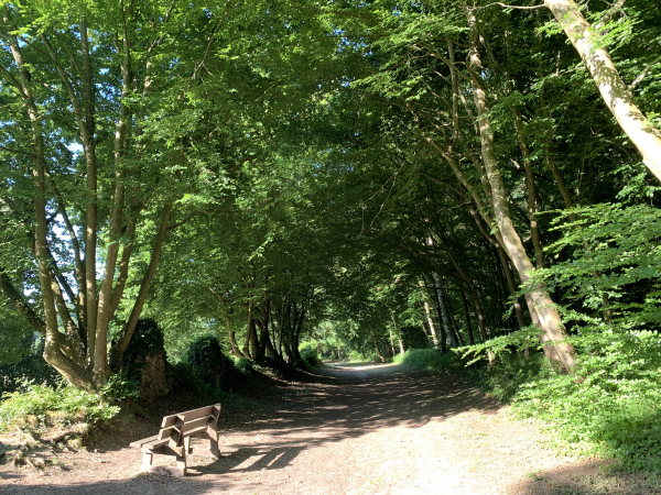 Le chemin longe le coteau jusqu'à la rue Yves Montand.
