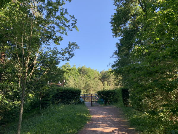 La Ligne du Clos Doré se termine par une passerelle qui traverse la D840.