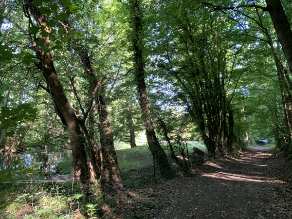 Nous longeons le Rouloir, et n'allons plus le quitter jusqu'à Conches.