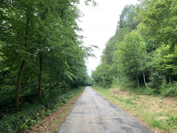 Nous arrivons à Barre-y-Va. Au XIXe siècle, le propriétaire du château de la Martinière avait planté un double alignement de hêtres le long de ce qui était à l'époque une route départementale. En 1957, cette route reçu le titre de Plus Beau Kilomètre de France en raison de la voute végétale formée par les hêtres. Ces arbres âgés ont dû être abattus, mais de jeunes hêtres ont été replantés.