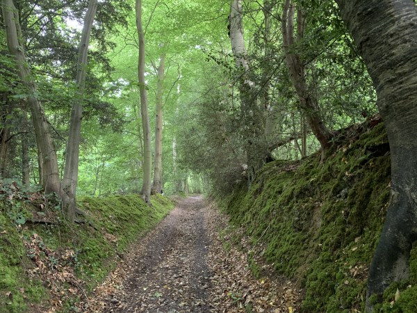 Toujours sur le GR2, nous montons vers Saint-Arnoult.