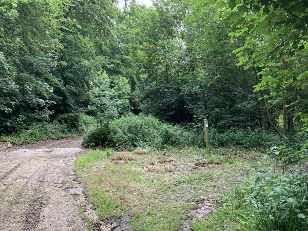 Nous quittons ici le large chemin de la Pépinière pour suivre à droite ce chemin de traverse vers le gibet de Caudebec.