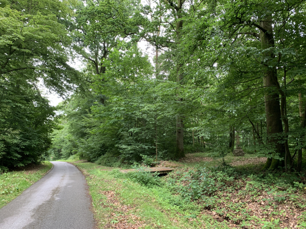 On voit à droite, le long de cette ancienne voie d'accès à Caudebec, l'emplacement du gibet et le crucifix qui le remplace.