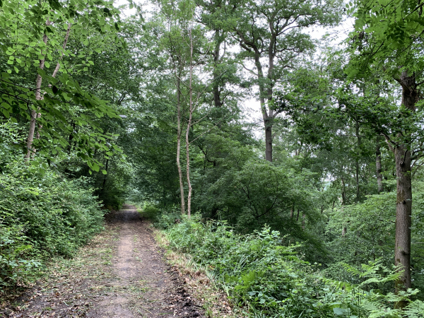 Nous suivons maintenant le Chemin de la Pommeraie sur les hauteurs des rivières Ambion et Sainte-Gertrude.