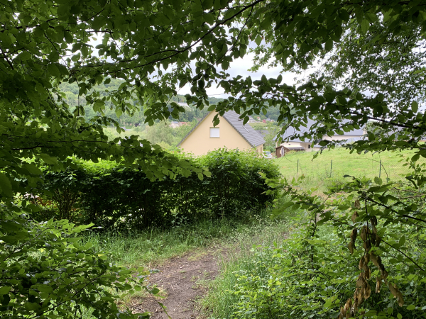 Nous quittons la forêt pour entrer dans la vallée.
