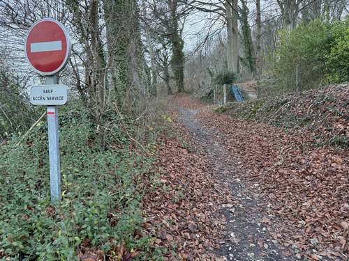 Nous sommes sur le GR2 depuis notre départ, et entrons en forêt domaniale du Trait-Maulévrier en restant sur ce fameux chemin de Grande Randonnée.