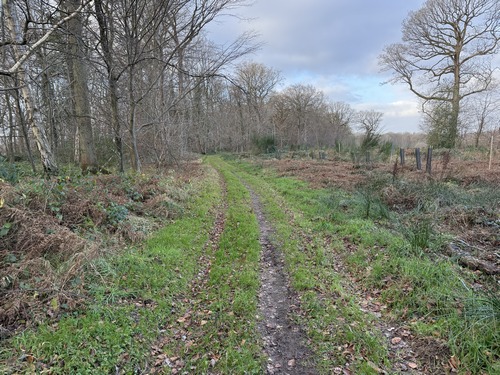Nous suivons maintenant le chemin de crête au-dessus de la Seine.
