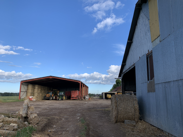 Le chemin traverse la cour de la ferme du Neufmesnil. Pas d'inquiétude, c'est un chemin balisé, sans barrière ni chien dans la cour.