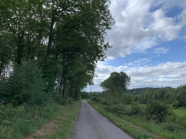 La longue, mais tranquille, route du Brun Château va nous permettre de passer, à nouveau, sous la voie ferrée. Le château Brun se trouve en bordure de cette route, mais il est caché par les arbres.