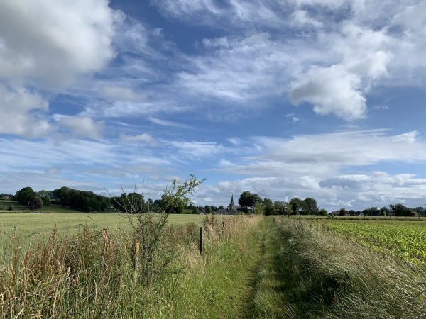 Chemin entre Petit Brunville et Limésy. Nous voyons déjà le clocher de l'église de Limésy.