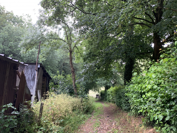 Arrivés au creux du vallon, nous quittons les rues pour suivre ce chemin entre un coteau boisé à gauche et un coteau champêtre à droite.