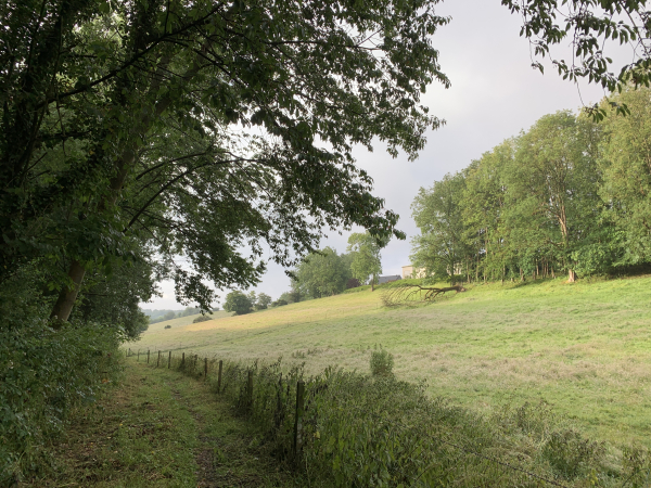 Nous suivons ce chemin du vallon jusqu'au bois qui recouvre le coteau ouest du plateau d'Ecalles-Alix.