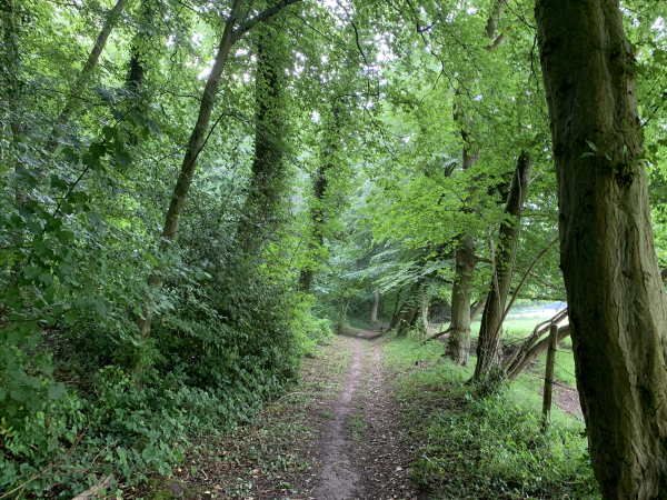 Malgré une brève petite pluie, nous profitons pleinement de ce délicieux chemin du vallon.