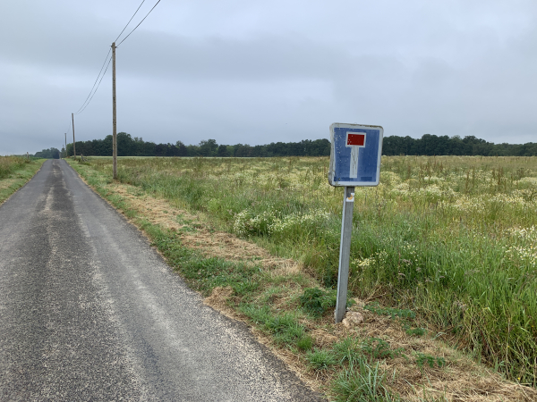 Cette petite route rectiligne mais déserte conduit jusqu'au château de Beauvoir et au Bois de Côte Bailleul.