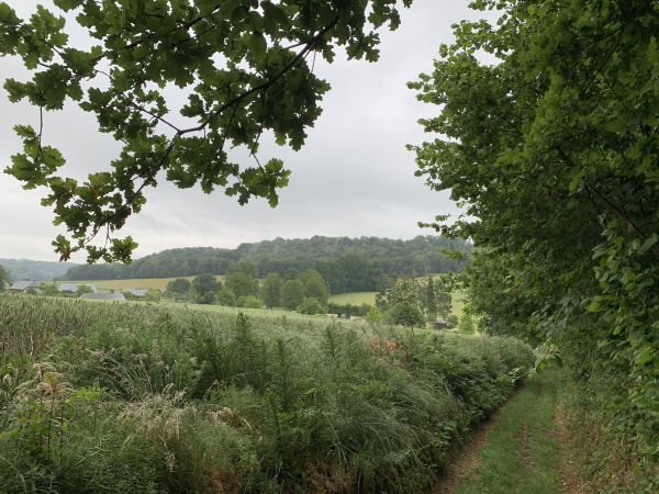 Le chemin domine puis descend dans le Val au Cesne.