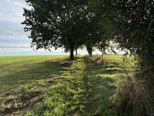 Le chemin du bois débouche ici sur le plateau de La Grande Rue.