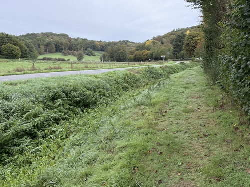 Site naturel classé du Val-au-Cesne. Un chemin a été aménagé le long de la D5.