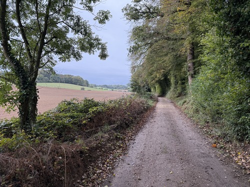 Chemin des Fonds de Saint-Clair. Juste avant de remonter sur le plateau par la rue du Val, vous apercevrez l'ancienne ferme du Maroc, construction typique de la région, proche de la ruine.