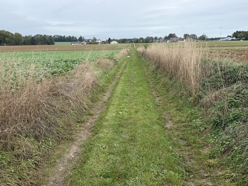 Le chemin de la Mi-Voie contourne le bourg de St-Clair par l'ouest.