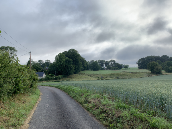 Nous commençons notre circuit sur la petite route en direction de Hameau-en-Caux.