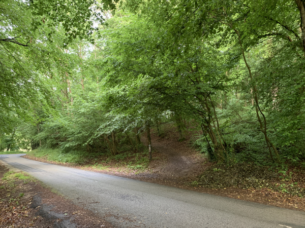 La descente se termine à la route du Val-au-Cesne, D89, et remonte sur le chemin d'en face.