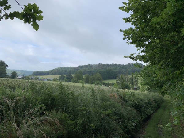 Nous arrivons au-dessus du Val-au-Cesne, vallon classé patrimoine naturel d'exception depuis 1997.