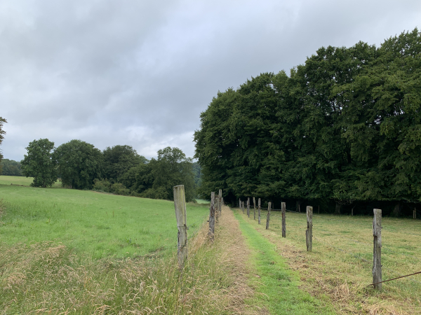 Arrivés au lieu-dit La Belgique, nous redescendons dans ce nouveau vallon qui nous sépare de Mont-de-l'If.