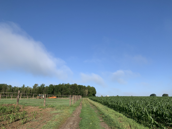 Nous arrivons sur le plateau, nous allons traverser Houlmesnil et redescendre de l'autre côté.
