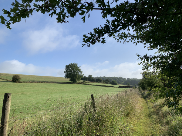 Nous suivons le très agréable Chemin du Bois des Pierres jusqu'à l'entrée du village de Crevon.