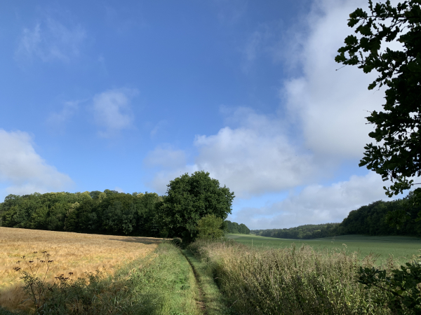 Nous sommes toujours sur le GR25, nous montons maintenant vers le petit bois Piquet, en face de nous, sur le chemin du Château de Mondétour.