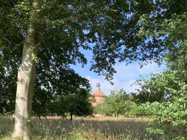 Avant de voir le château de Mondétour, on distingue déjà son colombier.