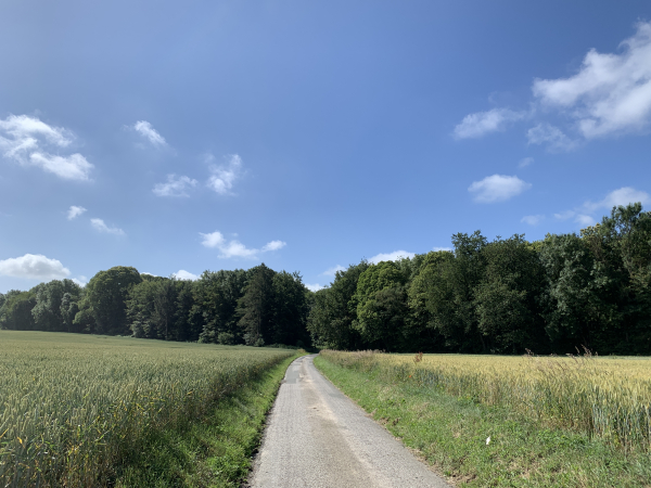 Nous sommes sur le plateau de Longuerue, en direction du château de Fontaine-Châtel.