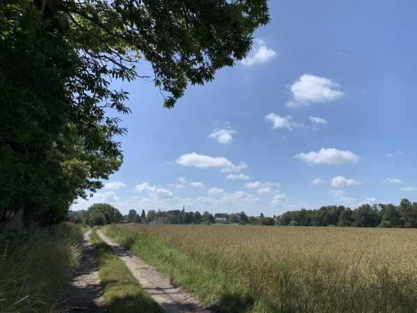 On distingue déjà Catenay que nous allons traverser.