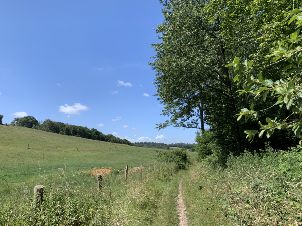 Nous retrouvons le GR25 qui suit ce très agréable chemin qui relie le plateau de Catenay à Blainville.