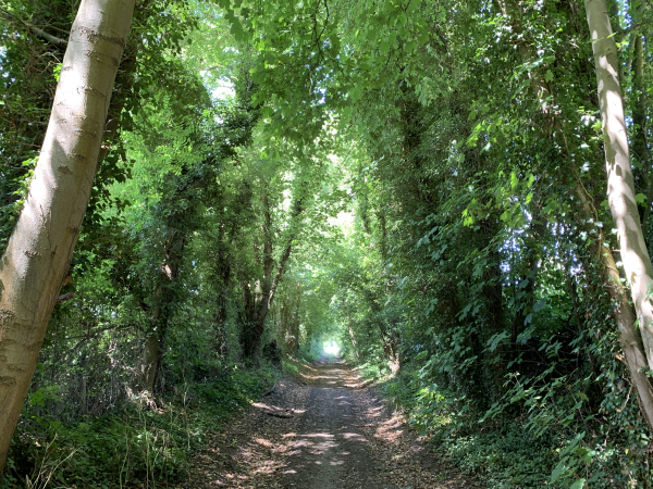 Le chemin rejoint une ancienne voie qui se dirige droit vers le château de Blainville.