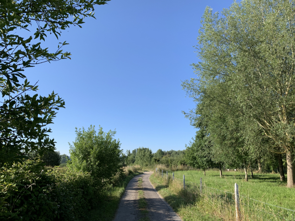 Nous marchons maintenant dans les marais. Aucune crainte à avoir, les chemins sont parfaitement renforcés et hors d'eau.