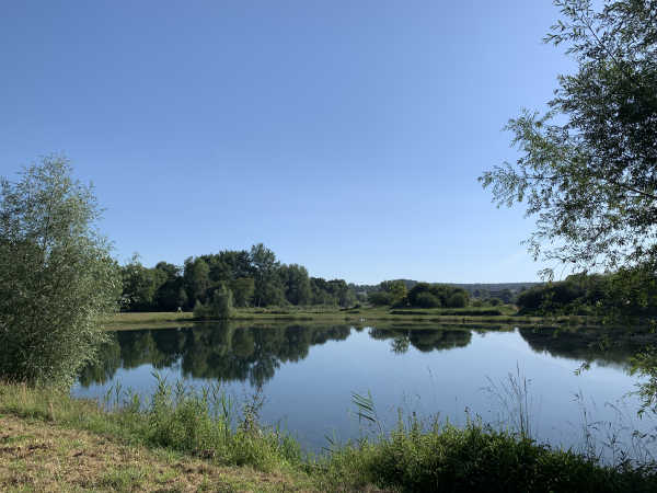 Nous longeons maintenant l'un des deux étangs de Jumièges. Ces étangs sont le résultat de ballastières dont certaines sont toujours en activité.