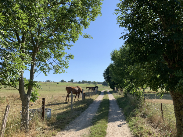Nous utilisons les chemins entre près et vergers pour contourner le bourg.