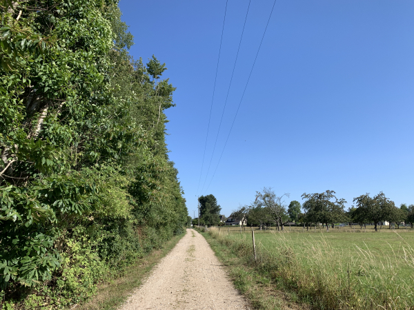 Dernière ligne droite le long du bois du Parc.