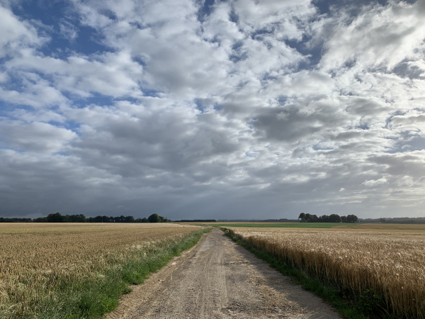 Nous quittons enfin les départementales pour suivre cette petite route entre les champs.