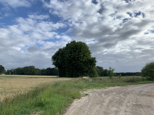 Voici, en face de nous, le premier chemin après 3,8km de goudron.
