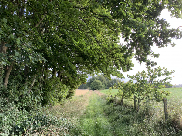 Le chemin va nous conduire jusqu'à l'entrée du village d'Envronville.