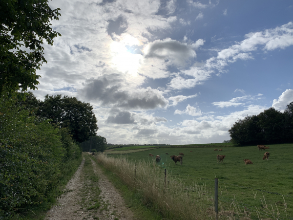 Nous prenons le chemin des bétoirs. Un bétoir est un puit naturel, une zone de communication entre la surface et le réseau karstique.