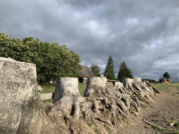 Chemin des bétoirs, vestige de clos-masure.