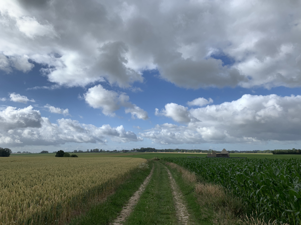 Nous suivons toujours le GR211C dans la plaine du Mont Lévêque jusqu'à la D110.