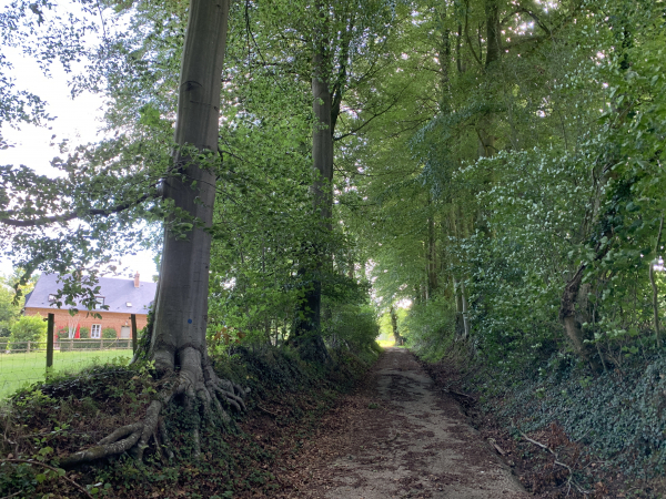 Nous suivons plusieurs chemins dans Le Veraval. Nous sommes sur le Mont Lévêque, ancien domaine des seigneurs Warelwast, descendants d'un neveu de Guillaume-le-Conquérant.