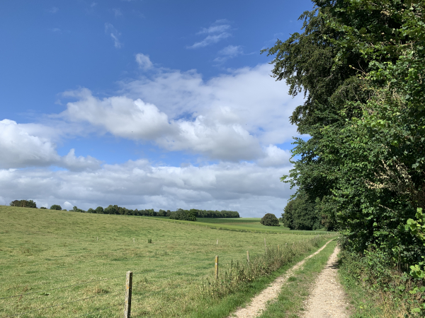 Chemin dans le vallon aux pieds du Veraval.