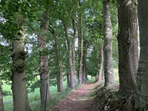 Le chemin devient tout à fait charmant après le Chemin de la Côte.